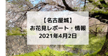 【名古屋城】お花見レポート・情報　2021年4月2日